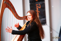03.12.22 Keltische Harfe