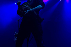 Faun021223_0009