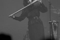 Faun021223_0028