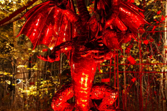 PLWM_0056