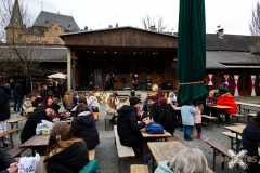 BurgSatzvey_0022