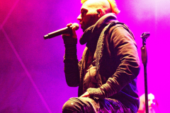 Fuchsteufelswild_0025