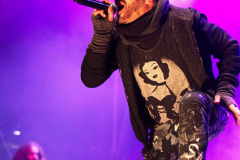 Fuchsteufelswild_0028