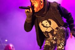 Fuchsteufelswild_0029