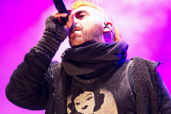 Fuchsteufelswild_0030