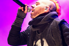 Fuchsteufelswild_0031