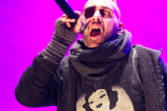 Fuchsteufelswild_0032