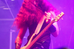 Fuchsteufelswild_0034