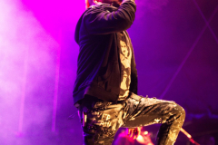 Fuchsteufelswild_0039