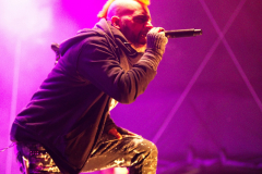 Fuchsteufelswild_0040