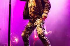 Fuchsteufelswild_0046