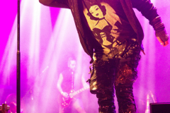 Fuchsteufelswild_0049