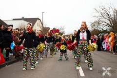 UmzugWeiss100224_0005