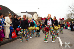 UmzugWeiss100224_0006