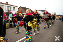 UmzugWeiss100224_0010