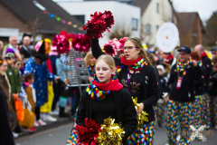 UmzugWeiss100224_0016