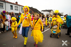 UmzugWeiss100224_0052