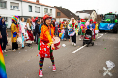 UmzugWeiss100224_0124