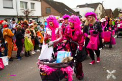 UmzugWeiss100224_0219