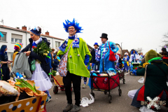 UmzugWeiss100224_0252