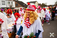 UmzugWeiss100224_0343