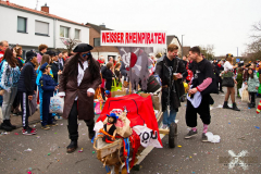 UmzugWeiss100224_0485