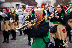 UmzugWeiss100224_0623