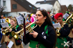 UmzugWeiss100224_0626