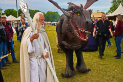 GandalfRaptoRex100524_0015