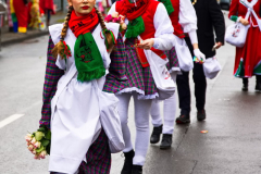 UmzugSuerth110224_0084