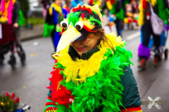 UmzugSuerth110224_0251