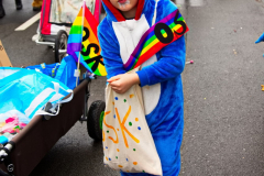 UmzugSuerth110224_0268