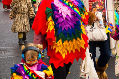 UmzugSuerth110224_0566