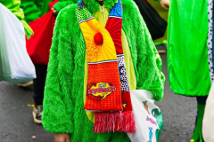 UmzugSuerth110224_0617