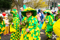 UmzugRodenkirchen110224_0666