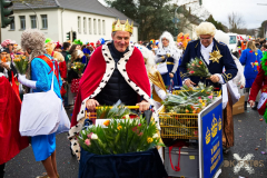 UmzugRodenkirchen110224_0799