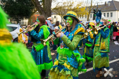 UmzugRodenkirchen110224_0915