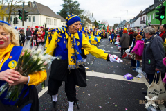 UmzugRodenkirchen110224_0935