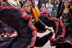 AnimaSerpentis110323_0017