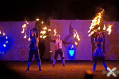 DanseInfernale110524_0044