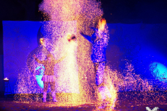 DanseInfernale110524_0064