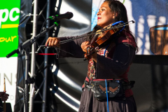 Teufelsgeigerin110524_0010