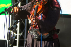 Teufelsgeigerin110524_0014