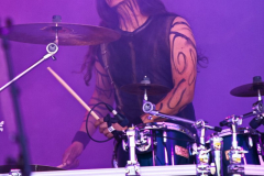 Tanzwut110524_0008