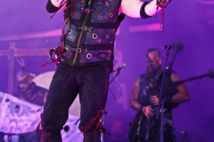 Tanzwut110524_0013