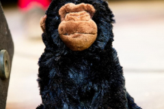 JohnKanaka110623_0029