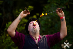 MeisterEckart110823_0015