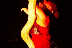 HexeRoxana120823_0025