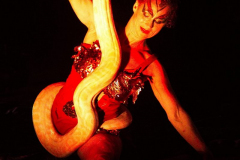 HexeRoxana120823_0026