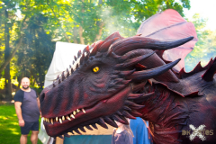 11.-13.08.23 Raptorex